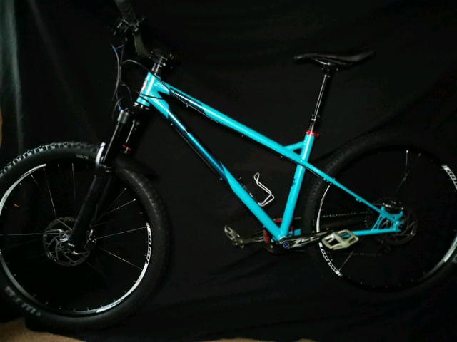 ragley blue pig 2019